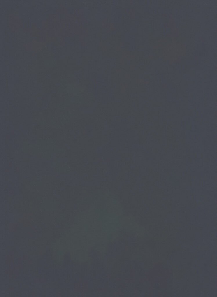 No N81
